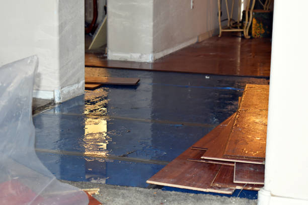 Professional Sewage Cleanup technician working in Ravenna, MI